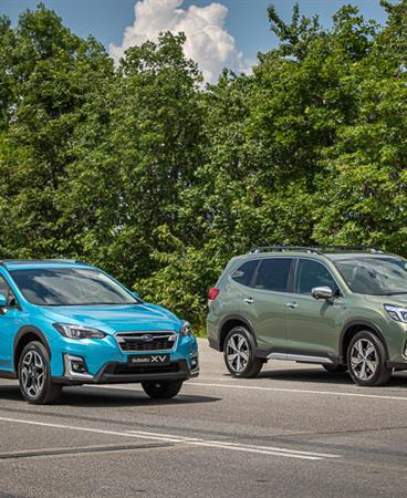 Forester and XV_low-005-23456